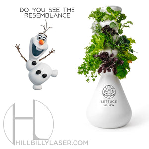 Herb Markers - Lettuce Grow Farmstand® - Hillbilly Laser
